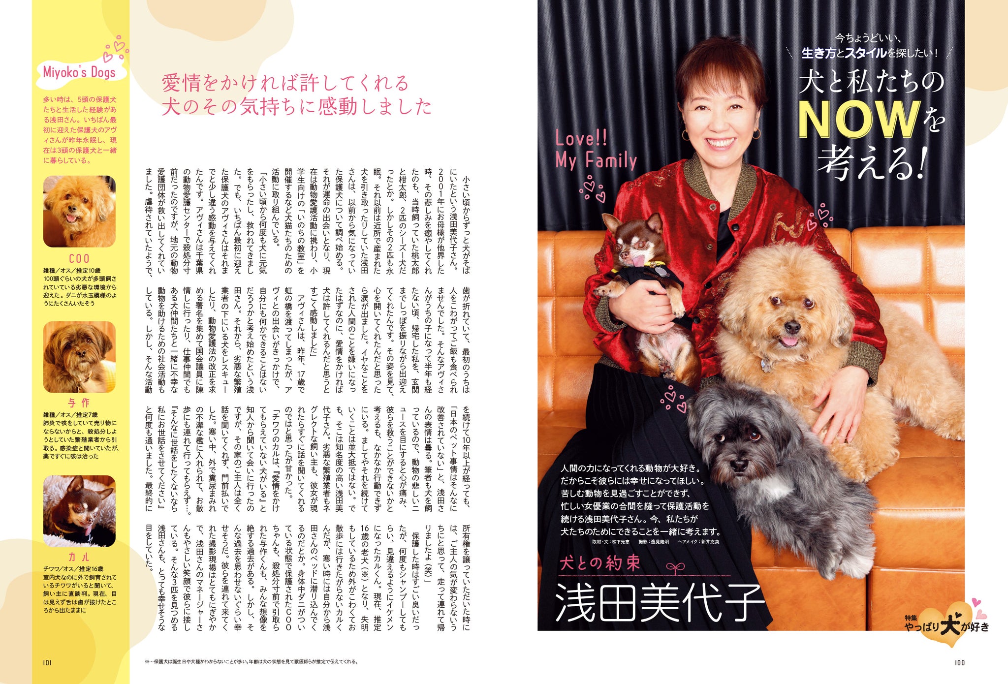 私の愛する犬たち 絶本